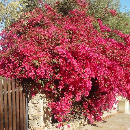 Cala Sinzias Casa A 300Mt.Dal Mare Calasinzias, 6 Letti, Ac, Pets Welcome, Wi-Fi Free מראה חיצוני תמונה