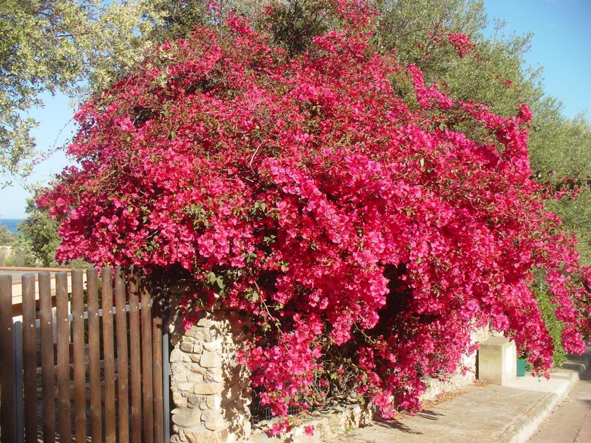 Cala Sinzias Casa A 300Mt.Dal Mare Calasinzias, 6 Letti, Ac, Pets Welcome, Wi-Fi Free מראה חיצוני תמונה