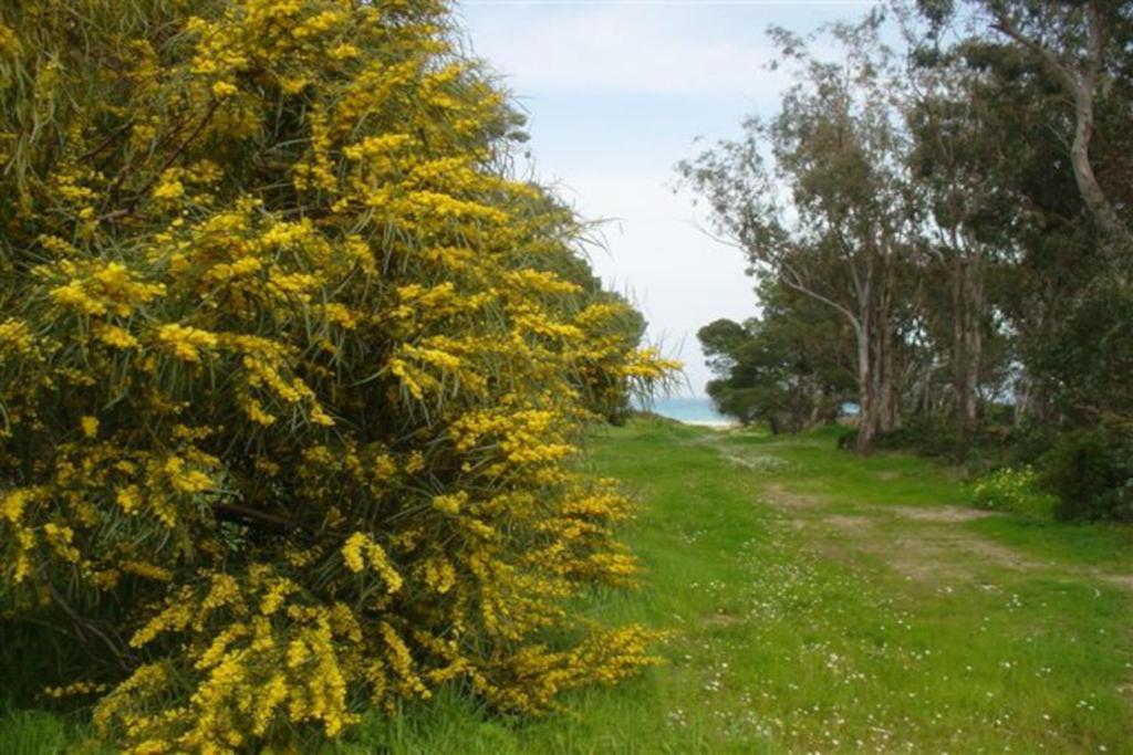 Cala Sinzias Casa A 300Mt.Dal Mare Calasinzias, 6 Letti, Ac, Pets Welcome, Wi-Fi Free מראה חיצוני תמונה